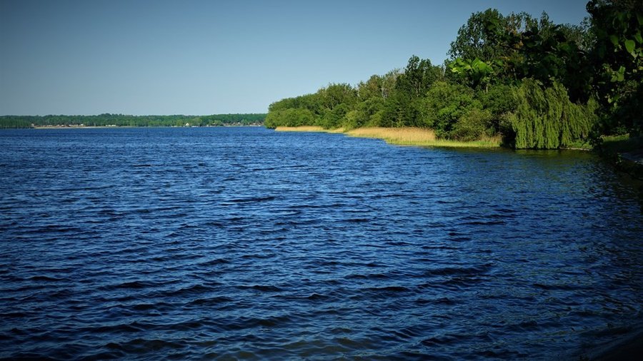 Tafla Jeziora Chechło-Nakło z linią drzew na brzegu