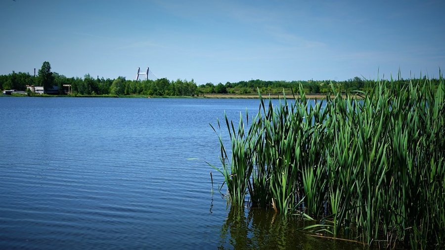 Jezioro Farskie, widok znad brzegu