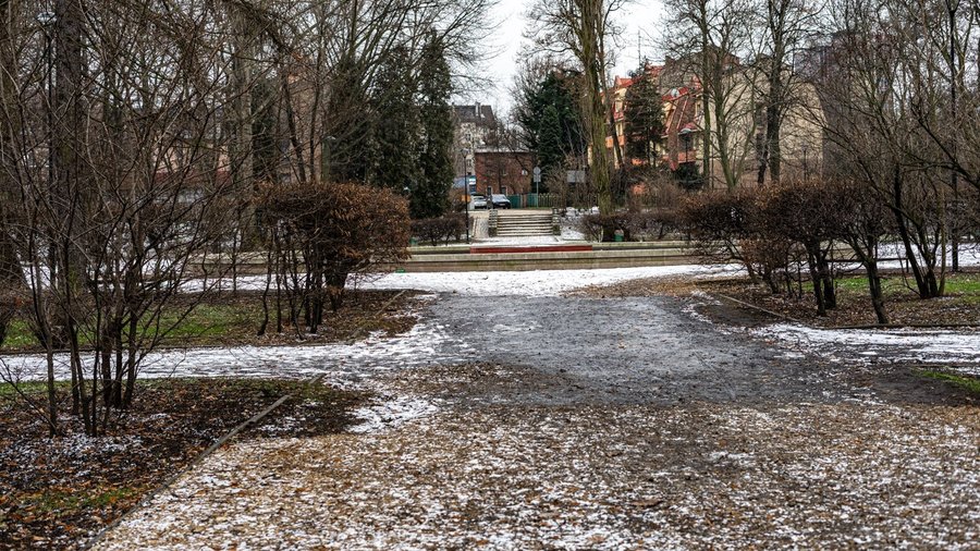 Kaczki krzyżówki odpoczywające na brzegu zamarzniętego stawu w Parku Dubiela w Zabrzu