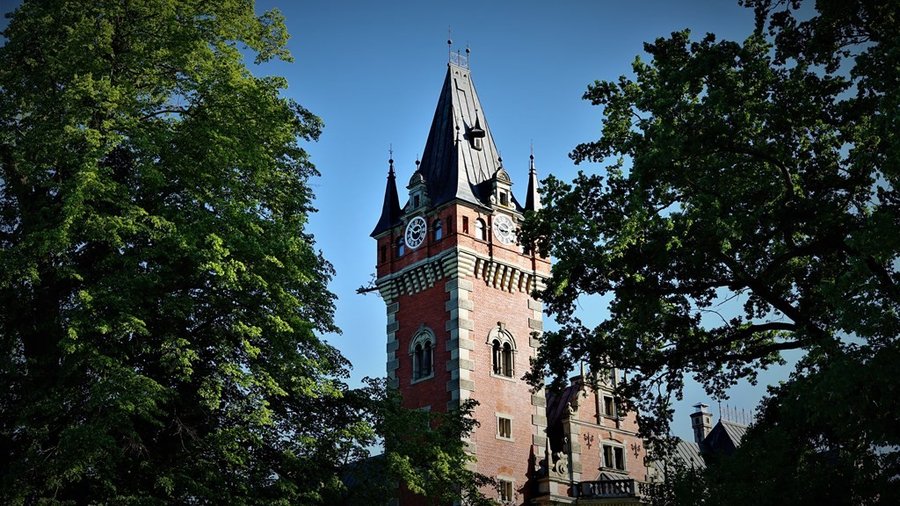 Wieża zegarowa Pałacu Ballestremów w Pławniowicach widziana przez korony drzew