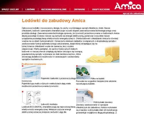 Amica