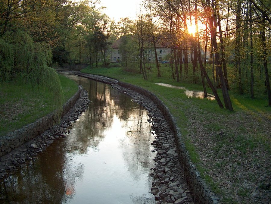 Kanał w parku zamkowym w Pszczynie