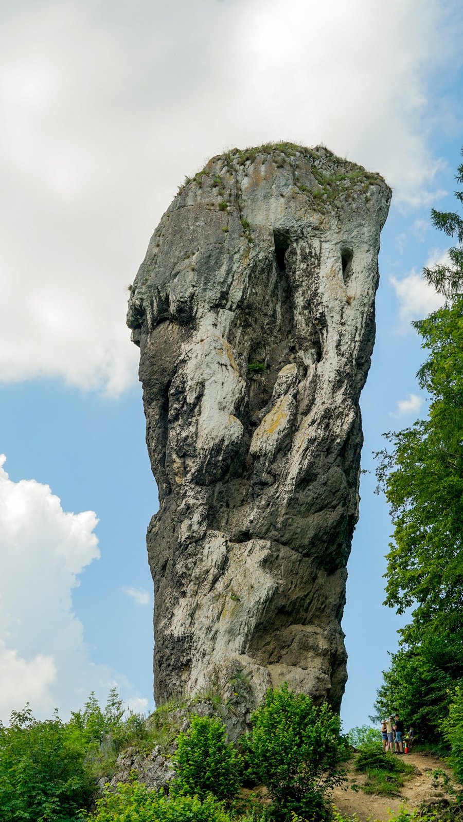 Skalny ostaniec Maczuga Herkulesa w Dolinie Prądnika