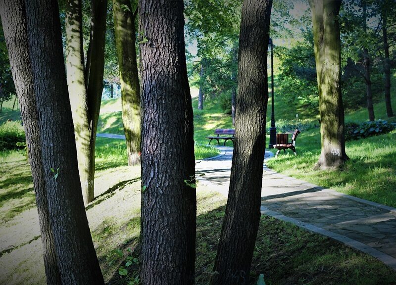 Park gminny w Ornontowicach