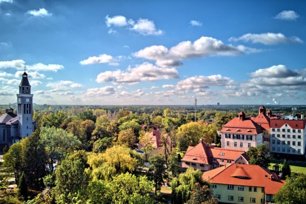 Pozycjonowanie Knurów