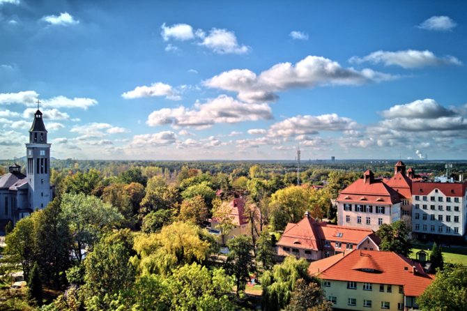 Pozycjonowanie Knurów