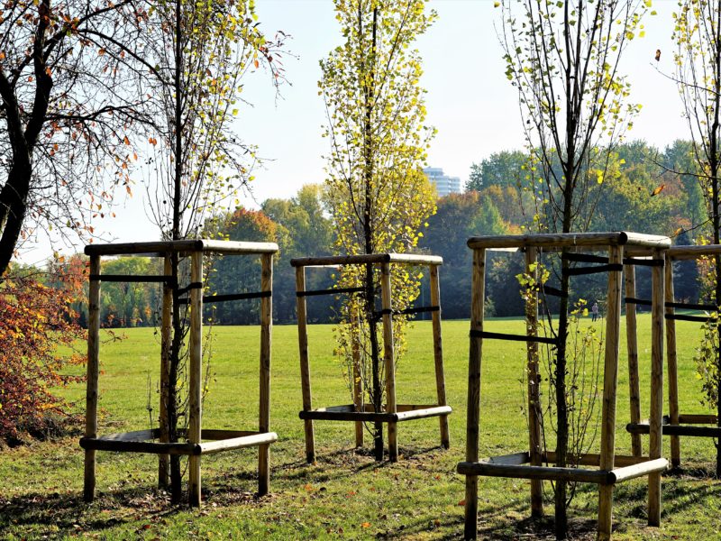 park śląski w Chorzowie park śląski w Chorzowie